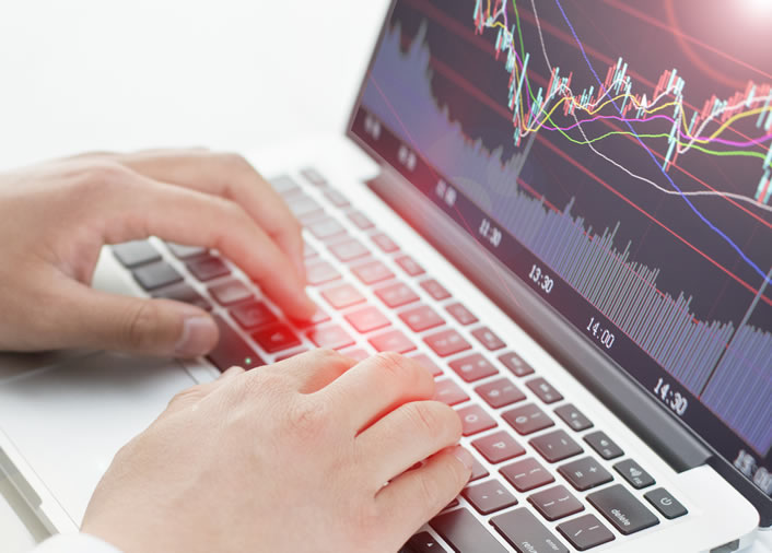 MT4、MT5外汇网站模板001